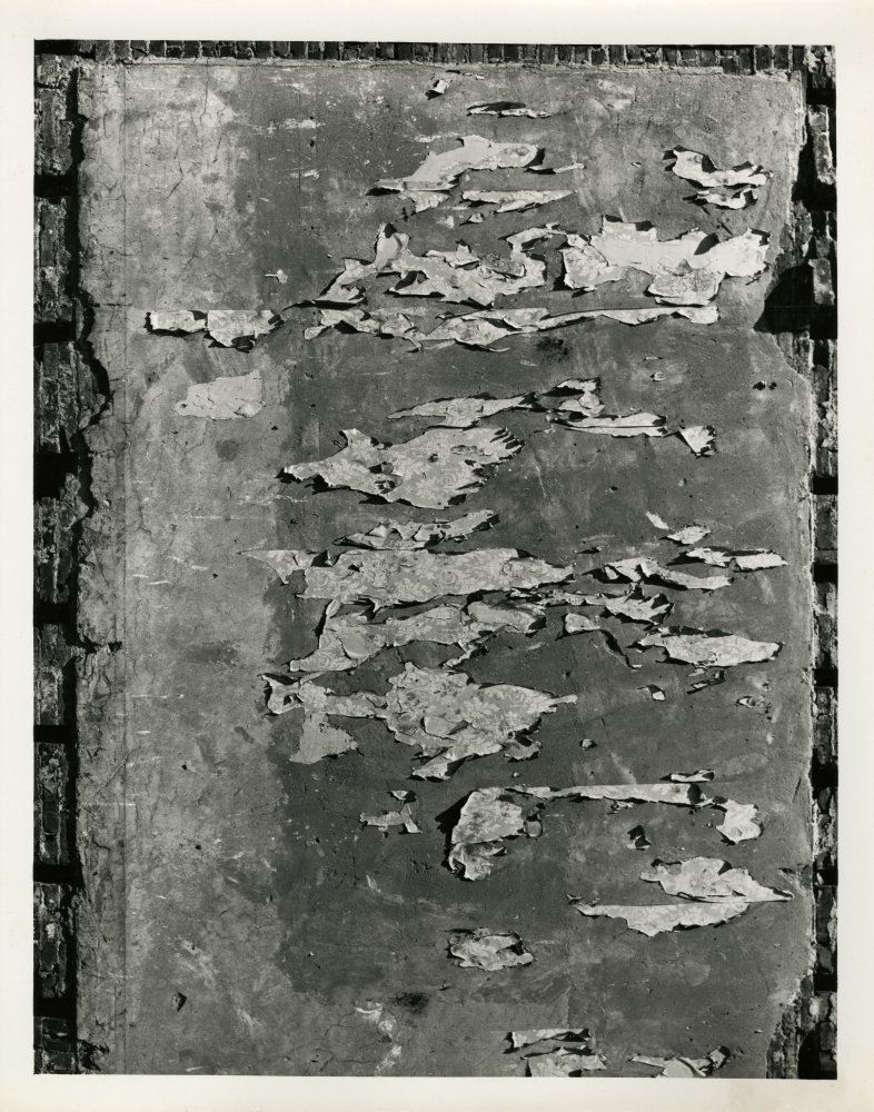 01-137 (click for large image)